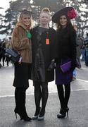 28 December 2009; Enjoying the days racing were Laura Nolan, left, Chelsea Collins and Andrea Roche, right. Leopardstown Christmas Racing Festival 2009, Leopardstown Racecourse, Dublin. Photo by Sportsfile