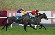 28 December 2009; Powerstation, no. 7, with Andrew McNamara up, lead eventual second, Noble Prince, with Alain Cawley up, on their way to winning the woodiesdiy.com Christmas Hurdle. Leopardstown Christmas Racing Festival 2009, Leopardstown Racecourse, Dublin. Photo by Sportsfile
