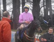 29 December 2009; Solwhit, with Davy Russell up, enters the parade ring after winning the Leopardstown Golf Centre December Festival Hurdle. Leopardstown Christmas Racing Festival 2009, Leopardstown Racecourse, Dublin. Picture credit: Brian Lawless / SPORTSFILE