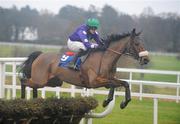 29 December 2009; Eventual second Save the Bacon, with Robert Colgan up, during the Paddy Fitzpatrick Memorial Hurdle. Leopardstown Christmas Racing Festival 2009, Leopardstown Racecourse, Dublin. Picture credit: Brian Lawless / SPORTSFILE