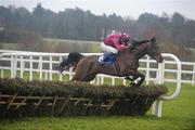 29 December 2009; Finns Cross, with Edward Power up, clears the last during the Paddy Fitzpatrick Memorial Hurdle. Leopardstown Christmas Racing Festival 2009, Leopardstown Racecourse, Dublin. Picture credit: Brian Lawless / SPORTSFILE