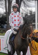 29 December 2009; Fen Game, with Andrew McNamara up, enters the parade ring after winning the Paddy Fitzpatrick Memorial Hurdle. Leopardstown Christmas Racing Festival 2009, Leopardstown Racecourse, Dublin. Picture credit: Brian Lawless / SPORTSFILE