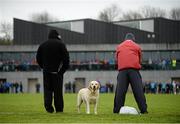 16 February 2016; Two spectators and a dog look on during the game. Independent.ie HE GAA Fitzgibbon Cup Quarter-Final, Mary Immaculate College Limerick v Galway Mayo Institute of Technology. MICL Grounds, Limerick. Picture credit: Diarmuid Greene / SPORTSFILE