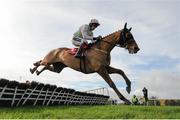 17 February 2016; Annie Power, with Ruby Walsh up, jumps the last on their way to winning the punchestown.com Mares Hurdle. Punchestown, Co. Kildare. Picture credit: Seb Daly / SPORTSFILE