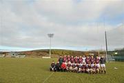 17 January 2010; The Westmeath squad. O'Byrne Cup, First Round, Westmeath v DCU, St. Lomans GAA Grounds, Mullingar, Co. Westmeath. Picture credit: Brian Lawless / SPORTSFILE