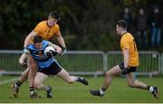 20 February 2016; Stephen Coen, University College Dublin, in action against Steven O'Brien and Rob McDaid, Dublin City University. Independent.ie HE GAA Sigerson Cup Final, University College Dublin v Dublin City University, UUJ, Jordanstown, Co. Antrim. Picture credit: Oliver McVeigh / SPORTSFILE