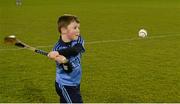 20 February 2016; Mascot Evan Coyne, aged 8, from Trinity Gaels, before the game. Allianz Hurling League, Division 1A, Round 2, Dublin v Galway, Parnell Park, Dublin. Picture credit: Piaras Ó Mídheach / SPORTSFILE