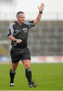 21 February 2016; Referee James McGrath. Allianz Hurling League, Division 1B, Round 2, Wexford v Clare. Innovate Wexford Park, Wexford. Picture credit: Piaras Ó Mídheach / SPORTSFILE