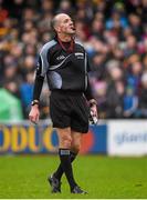 21 February 2016; Referee, Cathal McAllister. Allianz Hurling League, Division 1A, Round 2, Kilkenny v Tipperary, Nowlan Park, Kilkenny. Picture credit: Ray McManus / SPORTSFILE