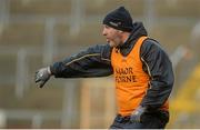 21 February 2016; Wexford selector Ger Cush. Allianz Hurling League, Division 1B, Round 2, Wexford v Clare. Innovate Wexford Park, Wexford. Picture credit: Piaras Ó Mídheach / SPORTSFILE