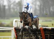 21 Janurary 2010; Secant Star, with Ruby Walsh up, goes over the last to win the The Ballyhane Stud Maiden Hurdle. Gowran Park, Co. Kilkenny. Picture credit: Matt Browne / SPORTSFILE