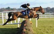 23 Janurary 2010; Rick, with Paddy Flood up, jump the last on their way to winning the www.leopardstown.com Maiden Hurdle. Leopardstown Racecourse, Dublin. Picture credit: Matt Browne / SPORTSFILE