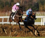 24 Janurary 2010; Solwhit, with Davy Russell up, lead eventual third place Sublimity, with Philip Carberry up, over the last on their way to winning the Toshiba Irish Champion Hurdle. Leopardstown Racecourse, Dublin. Picture credit: Matt Browne / SPORTSFILE