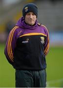 21 February 2016; Wexford manager Liam Dunne. Allianz Hurling League, Division 1B, Round 2, Wexford v Clare. Innovate Wexford Park, Wexford. Picture credit: Piaras Ó Mídheach / SPORTSFILE