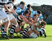 22 February 2016; Hugo Burke, Blackrock College, goes over to score his side's third try. Bank of Ireland Leinster Schools Senior Cup Quarter-Final Replay, Blackrock College v Belvedere College. Donnybrook Stadium, Donnybrook, Dublin. Picture credit: Stephen McCarthy / SPORTSFILE