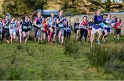 23 February 2016; A general view of the start of the Minor Girls race at the GloHealth Connacht Schools' Cross Country Championships. Calry Community Park, Sligo. Picture credit: Ramsey Cardy / SPORTSFILE