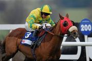 28 December 2009; Wikaala, with Barry Geraghty up, during the Mongey Communications Novice Handicap Hurdle. Leopardstown Christmas Racing Festival 2009, Leopardstown Racecourse, Dublin. Photo by Sportsfile