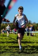 23 February 2016; Rossa McAllister, Rice College, Westport, on his way to winning the Minor Boys race at the GloHealth Connacht Schools' Cross Country Championships. Calry Community Park, Sligo. Picture credit: Ramsey Cardy / SPORTSFILE