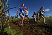 23 February 2016; A general view during the Intermediate Girls race at the GloHealth Connacht Schools' Cross Country Championships. Calry Community Park, Sligo. Picture credit: Ramsey Cardy / SPORTSFILE