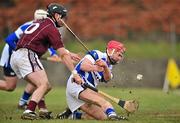 31 January 2010; John Delaney, Laois, in action against Aongus Callanan, Galway. Walsh Cup Quarter-Final, Laois v Galway, Kelly Daly Park, Rathdowney, Co. Laois. Picture credit: David Maher / SPORTSFILE