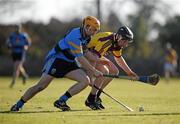 31 January 2010; Barry Kenny, Wexford, in action against Wexford native James Foley, UCD. Walsh Cup Quarter-Final, Wexford v UCD, Pairc Ui Siochan, Gorey, Co. Wexford. Picture credit: Daire Brennan / SPORTSFILE