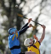 31 January 2010; Joey Boland, UCD, contests a high ball with Colm Farrell, Wexford. Walsh Cup Quarter-Final, Wexford v UCD, Pairc Ui Siochan, Gorey, Co. Wexford. Picture credit: Daire Brennan / SPORTSFILE