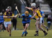 31 January 2010; Liam Ryan, UCD, in action against Colm Farrell, right, and Darren Kehoe, Wexford. Walsh Cup Quarter-Final, Wexford v UCD, Pairc Ui Siochan, Gorey, Co. Wexford. Picture credit: Daire Brennan / SPORTSFILE