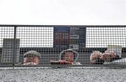 3 February 2010; Coursing punters study the form ahead of the Semi-Finals of the Boylesports.com Derby. 85th National Coursing Meeting - Wednesday, Powerstown Park, Clonmel, Co. Tipperary. Picture credit: Brian Lawless / SPORTSFILE