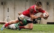 28th February 2016; Gerhard Van Den Heever, Munster, goes over to score the first try of the match. Benetton Treviso v Munster - Guinness PRO12 Round 16.Stadio Monigo, Treviso, Italy. Picture credit: Daniele Resini / SPORTSFILE