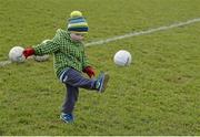 28 February 2016; Rían Sheridan, age 2 and a half, and son of former Longford goalkeeper Damien Sheridan, plays on the pitch before the game. Allianz Football League, Division 3, Round 3, Longford v Kildare, Glennon Brothers Pearse Park, Longford. Picture credit: Piaras Ó Mídheach / SPORTSFILE