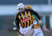 31 January 2010; Michael Grace, Kilkenny. Walsh Cup Quarter-Final, Offaly v Kilkenny, O'Connor Park, Tullamore, Co. Offaly. Picture credit: Brian Lawless / SPORTSFILE *** Local Caption ***