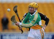 31 January 2010; James Rigney, Offaly. Walsh Cup Quarter-Final, Offaly v Kilkenny, O'Connor Park, Tullamore, Co. Offaly. Picture credit: Brian Lawless / SPORTSFILE *** Local Caption ***