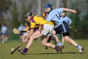 6 February 2010; Barry Kenny, Wexford, in action against Kevin Flynn, Dublin. Walsh Cup Semi-Final, Wexford v Dublin, Pairc Ui Siochan, Gorey, Co. Wexford. Picture credit: Daire Brennan / SPORTSFILE