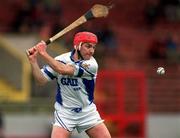 8 April 2001; Stephen Frampton of Waterford during the Allianz GAA National Hurling League Division 1B Round 4 match between Cork and Waterford at Páirc Uí Chaoimh in Cork. Photo by David Maher/Sportsfile