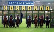 16 April 2001; Horses burst out of the stalls at the start of the Sugarloaf Maiden of £12,500, which was the first race on the first day back of Horse Racing in Ireland since Racing was suspended due to foot and mouth, at Leopardstown Racecourse in Dublin. Photo by Brendan Moran/Sportsfile