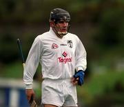 15 April 2001; Tony Spain of Kildare during the Leinster Senior Hurling Championship First Preliminary Round match between Wicklow and Kildare at Pearse Park in Arklow, Wicklow. Photo by Ray McManus/Sportsfile