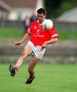 22 April 2001; Michael O'Sullivan of Cork  during the Allianz GAA National Football League Division 2 Semi-Final match between Cork and Kildare at McDonagh Park in Nenagh, Tipperary. Photo by Ray McManus/Sportsfile