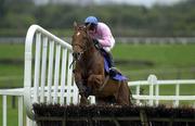 24 April 2001; Alpha Blues with Tom Treac up, jump the last on their way to win the Ratoath Hurdle at Fairyhouse Racecourse in Meath. Photo by Matt Browne/Sportsfile
