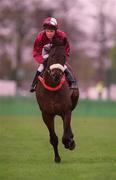 16 April 2001; Andaro, with C O'Donoghue up, at Leopardstown Racecourse in Dublin. Photo by Brendan Moran/Sportsfile