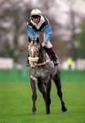 16 April 2001; Misniuil, with McHussey up, at Leopardstown Racecourse in Dublin. Photo by Brendan Moran/Sportsfile *** Local Caption ***