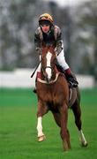 16 April 2001; Balizac, with Pat Scallan up, at Leopardstown Racecourse in Dublin. Photo by Brendan Moran/Sportsfile