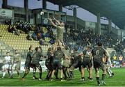 28 February 2016; Hayden Triggs, Leinster, wins a line-out. Guinness PRO12, Round 16, Zebre v Leinster, Stadio Sergio Lanfranchi, Parma, Italy. Picture credit: Seb Daly / SPORTSFILE