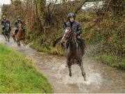29 February 2016; Min, with Ruby Walsh up, out on the gallops. Willie Mullins Stable Visit ahead of Cheltenham 2016. Closutton, Bagenalstown, Co. Carlow. Picture credit: Seb Daly / SPORTSFILE