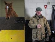 29 February 2016; Trainer Willie Mullins with Annie Power at his stables ahead of the Cheltenham Festival. Willie Mullins Stable Visit ahead of Cheltenham 2016. Closutton, Bagenalstown, Co. Carlow. Picture credit: Seb Daly / SPORTSFILE