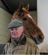 29 February 2016; Trainer Willie Mullins with Annie Power at his stables ahead of the Cheltenham Festival. Willie Mullins Stable Visit ahead of Cheltenham 2016. Closutton, Bagenalstown, Co. Carlow. Picture credit: Seb Daly / SPORTSFILE