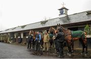 29 February 2016; Trainer Willie Mullins, centre, with horses, left to right, Don Poli, Valseur Lido, Vautour and Djakadam, at his stables ahead of the Cheltenham Festival. Willie Mullins Stable Visit ahead of Cheltenham 2016. Closutton, Bagenalstown, Co. Carlow. Picture credit: Seb Daly / SPORTSFILE
