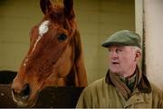 29 February 2016; Trainer Willie Mullins with Annie Power at his stables ahead of the Cheltenham Festival. Willie Mullins Stable Visit ahead of Cheltenham 2016. Closutton, Bagenalstown, Co. Carlow. Picture credit: Brendan Moran / SPORTSFILE