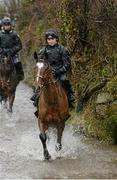 29 February 2016; Don Poli out on the gallops. Willie Mullins Stable Visit ahead of Cheltenham 2016. Closutton, Bagenalstown, Co. Carlow. Picture credit: Seb Daly / SPORTSFILE