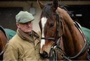 29 February 2016; Trainer Willie Mullins with Vautour at his stables ahead of the Cheltenham Festival. Willie Mullins Stable Visit ahead of Cheltenham 2016. Closutton, Bagenalstown, Co. Carlow. Picture credit: Brendan Moran / SPORTSFILE