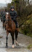 29 February 2016; Don Poli out on the gallops. Willie Mullins Stable Visit ahead of Cheltenham 2016. Closutton, Bagenalstown, Co. Carlow. Picture credit: Seb Daly / SPORTSFILE